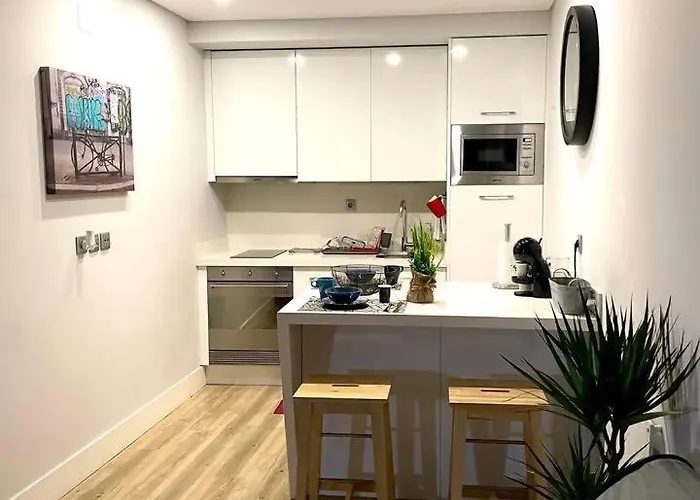 Sampaio Brand New Amazing Flat In