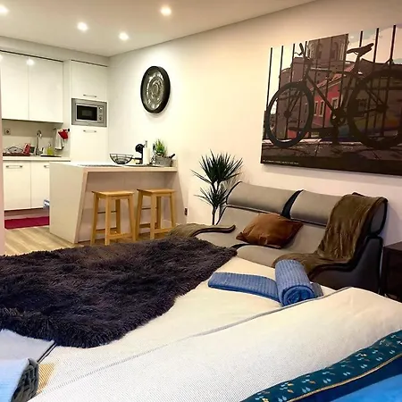 Apartmán Sampaio Brand New Amazing Flat In *